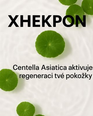 Objev sílu Centella Asiatica, známé také jako „pupečník asijský“. Aktivní složka, která stimuluje obnovu buněk a zpevňuje...